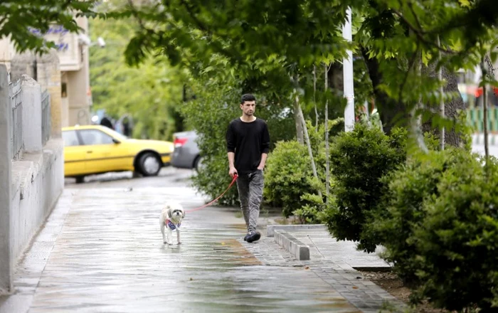 Un bărbat îşi plimbă câinele în Teheran FOTO AFP