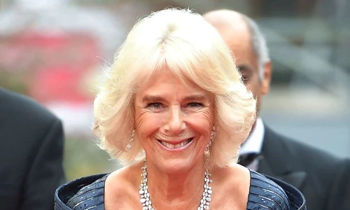 1 profimedia 0425025151 jpg jpeg