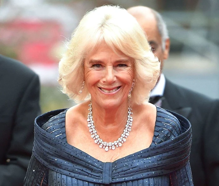 1 profimedia 0425025151 jpg jpeg