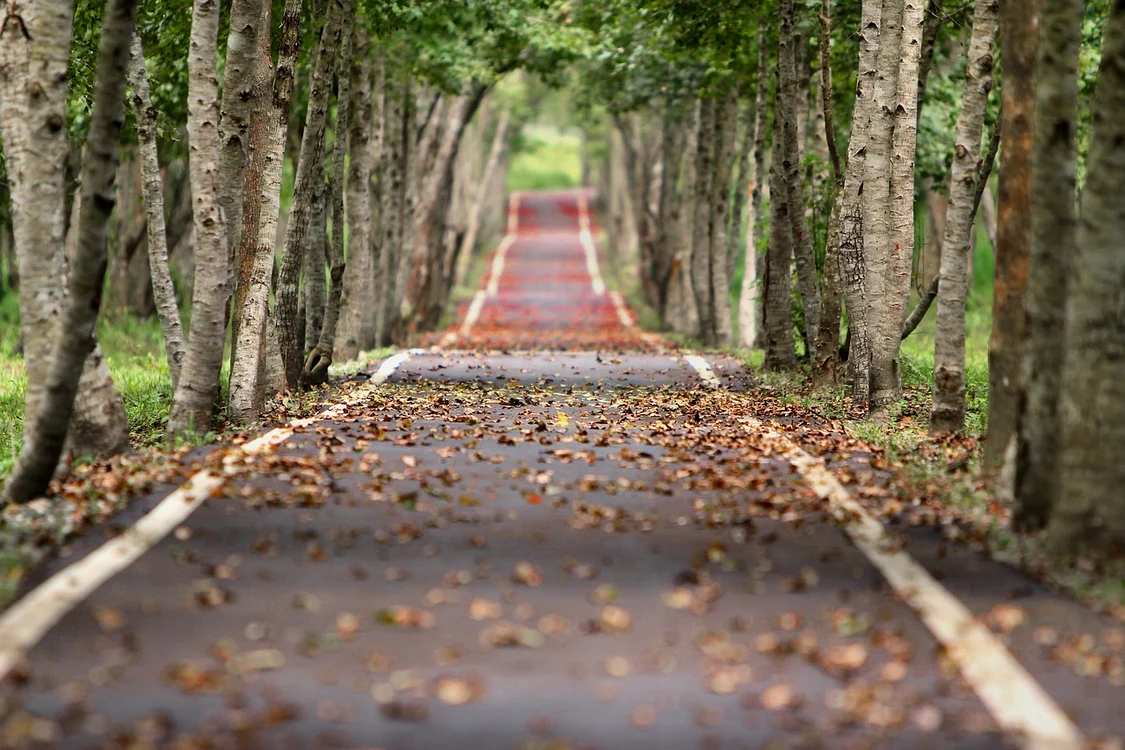Vremea se menține mai caldă decât normalul / foto: Pixabay