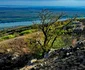 Beştepe loc frumos Tulcea Dobrogea Sursa Facebook Beştepe