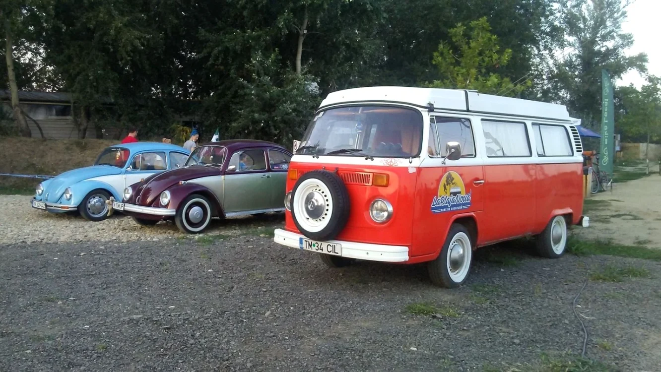 Hippie van-urile Volkswagen 