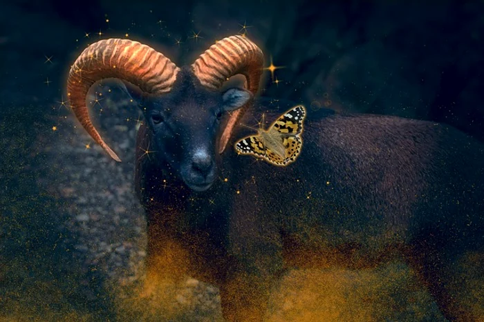 Zodia Capricorn / foto: Pixabay