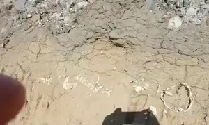 dezastru sit Micia Hunedoara mp4 thumbnail png