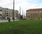 Protest inedit cu zebre în Piaţa Bălcesscu