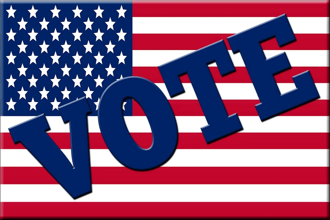 Alegătoarea purta un tricou pe care scria "McCain erou, Trump zero/ McCain Hero, Trump Zero"Foto: Pixabay