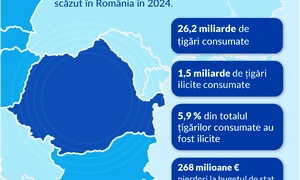 thumbnail KPMG Consumul de tigari ilicite Romania png