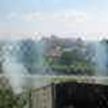incendiu vegetatie anl