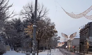 Pe Calea Victoriei, în buricul orașului, trotuarele și pista de biciclete, nu erau curățate joi (10 ianuarie), la prânz jpeg