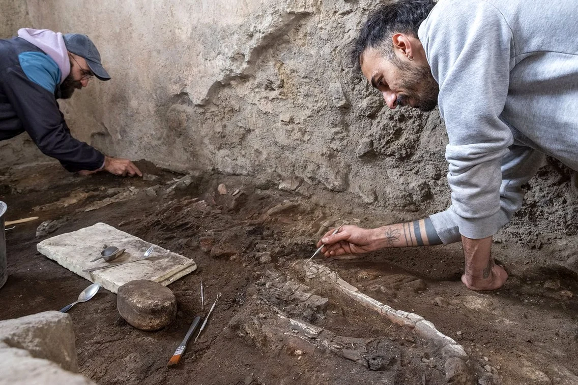 Două schelete ale unor ecvide, descoperite în brutăria complexului Casti Amanti (© Facebook / Pompeii - Parco Archeologico)