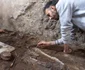 Două schelete ale unor ecvide, descoperite în brutăria complexului Casti Amanti (© Facebook / Pompeii - Parco Archeologico)