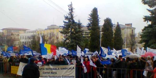 cartel alfa protest constanta