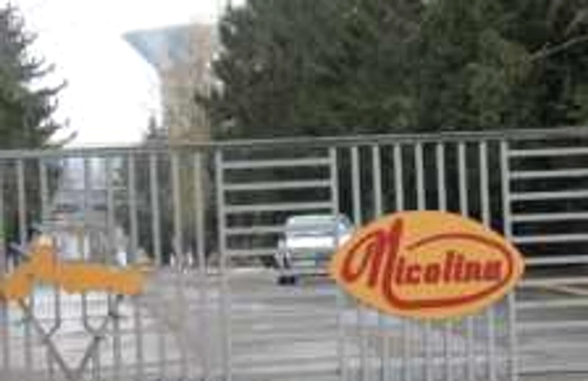 Fabrica Nicolina şi-a închis porţile în 2005