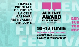 Audience Award Film Festival 2016 png