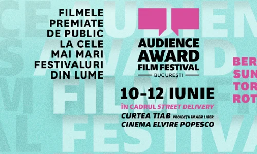 Audience Award Film Festival 2016 png