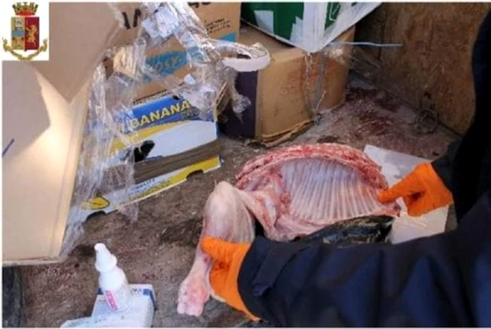 
    Fiecare dintre cei nouă români din microbuz a primit o amendă de 533 de euro pentru că nu aveau declarație pentru părăsirea unei zone roșii sanitareFoto: gazetaromaneasca.com  