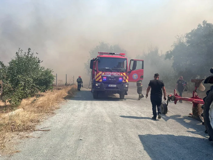 Pompierii intervin la incendiul masiv de vegetaţie de la Poarta Albă. FOTO ISU