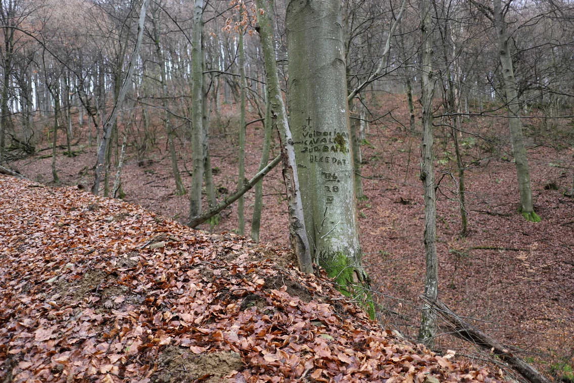 Ruda Brad, Ținutul Aurului  Foto Daniel Guță (10) JPG