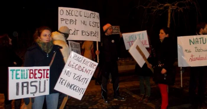 Tinerii din Iaşi au ieşit în stradă pentru a-şi exprima revolta împotriva tăierii teilor încă din februarie 2013 FOTO: Adevărul