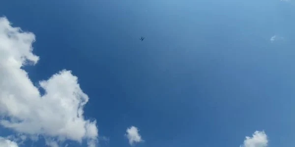 61224af45163ec4271699885 jpg