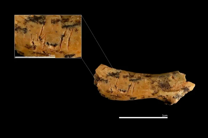 decapitation of child atapuerca 2 webp