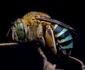 7 shutterstock 1401506057 jpg jpeg
