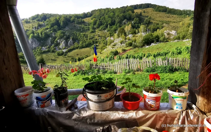 Priveliște din Fundătura Ponorului. Foto: Daniel Guță