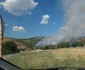 Arde pădurea în Tulcea FOTO Facebook