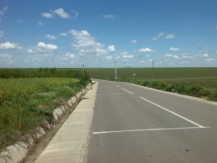 valea mostistei
