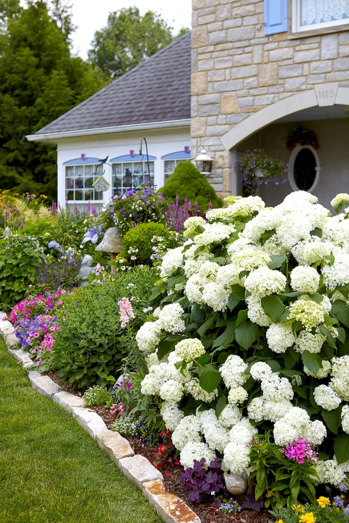 Grădină plină de flori și culoare cu hortensii și alte plante ornamentale F: Better Homes & Gardens