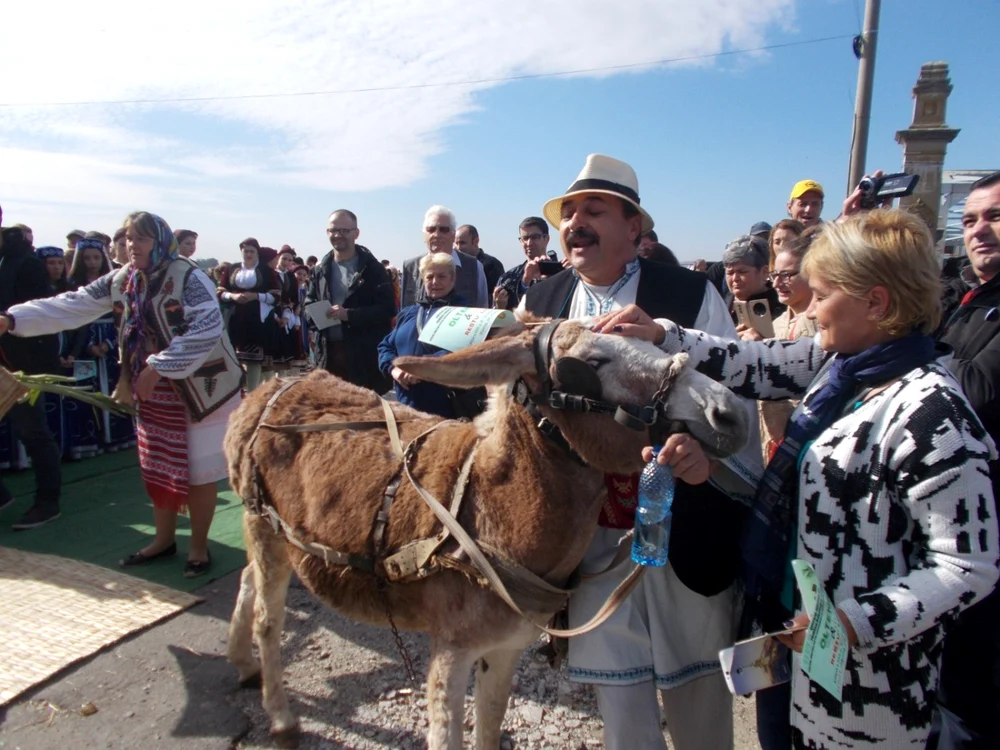 Oltenii chefuiesc, tradiţional, toamna, când se desfăşoară cel mai cunoscut festival din regiune, „Oltenii şi... restu’ lumii“