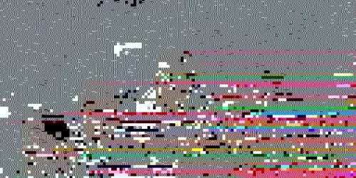 Vita de vie în concert la Vâlcea 