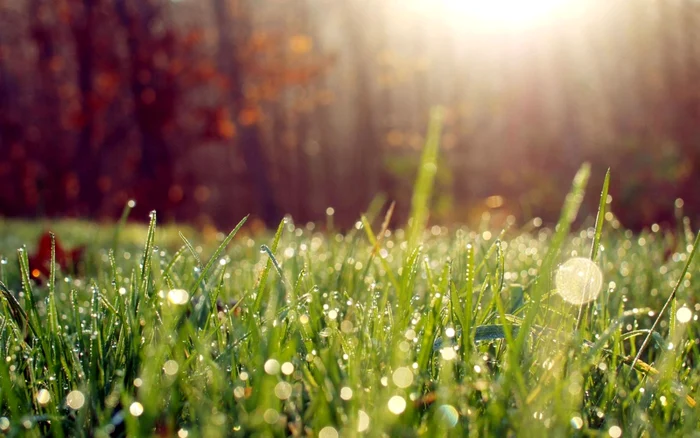 Prognoza meteo pentru următoarele două săptămâni: temperaturi de vară începând din acest weekend. FOTO: Arhivă