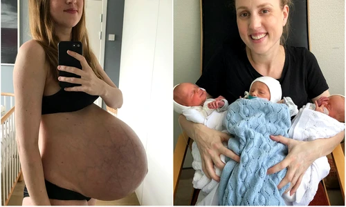 1 84865 original jpg jpeg