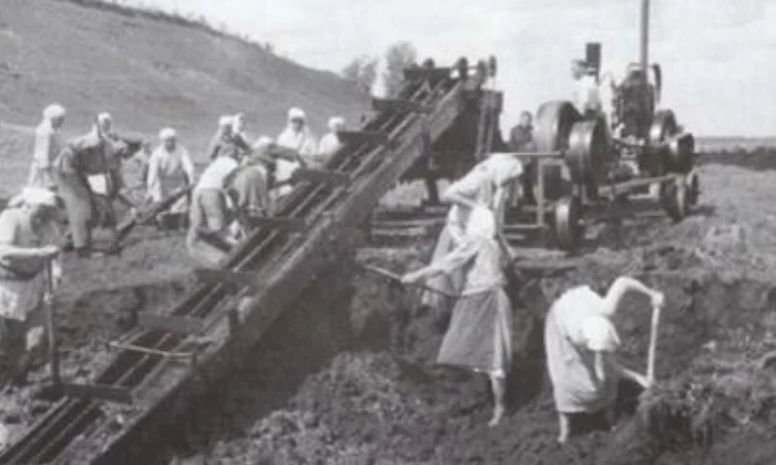 Rezistenta si mijloace de represiune asupra procesului de colectivizare jpeg