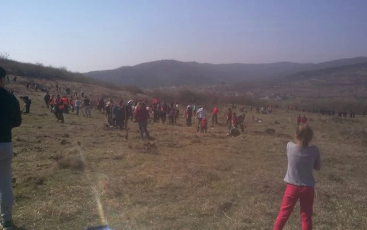 Elevi ai Şcolii Waldorf Râmnicu Vâlcea implicaţi în acţiuni de împădurire Foto Arhiva personală prof Lazăr Alina