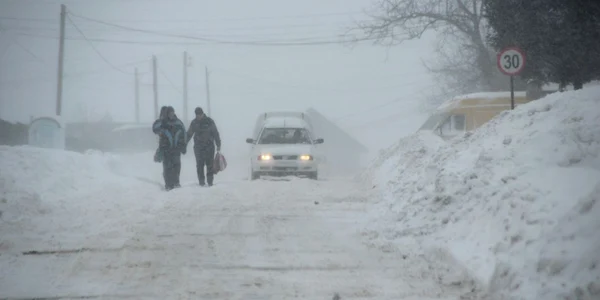 ger suceava