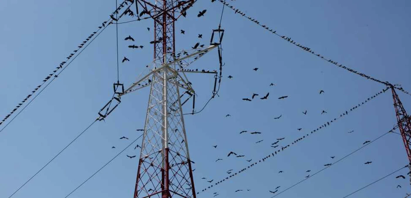 Producătorul de energie electrică cere o majorare de 20%