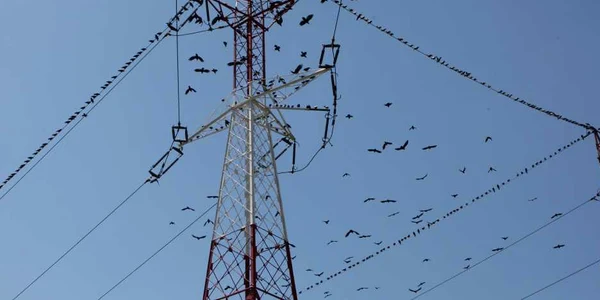 Producătorul de energie electrică cere o majorare de 20%