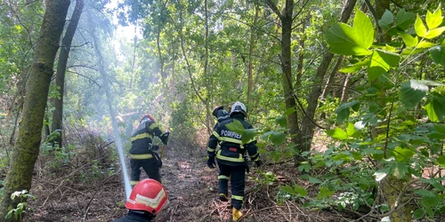 incendiu delta 3 foto ISU tulcea jpg