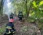 incendiu delta 3 foto ISU tulcea jpg