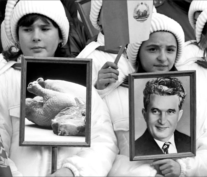Răbdări prăjite jpeg