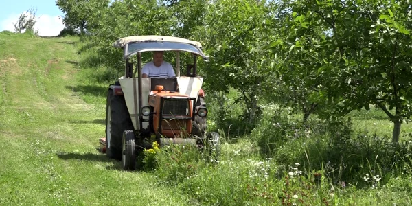 fructe de pădure bunesti Suceava