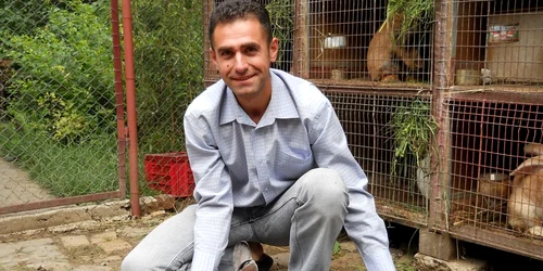 Botha Miklós spune că părinţii genetici ai Iepurelui de Cluj sunt rasele Neozeelandez Alb şi Chincilla