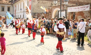 „Alba Iulia merită un statut de oraş privilegiat“ jpeg