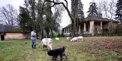 Conacul părăsit din Gurasada  Foto Daniel Guță  ADEVĂRUL (17) jpg