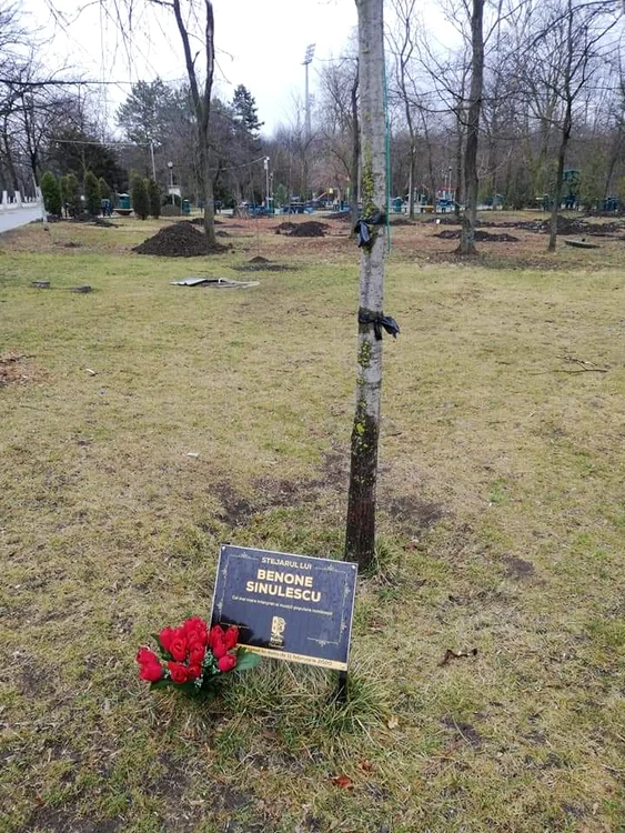 Pe stejarul plantat de Benone  s-a pus o eșarfă neagră