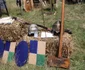 festival celti bistrita7
