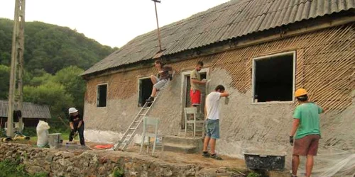 restaurare corna rosia