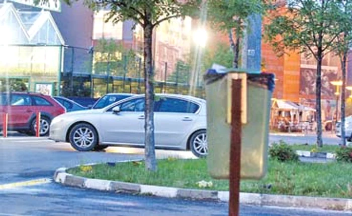 Artistul a mers cu un angajat la cumpărături, pentru vilă